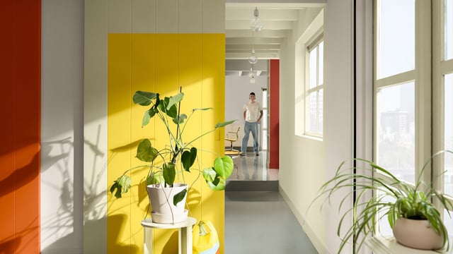 Modern hallway with a bold yellow wall, potted plants, and a person in the background.