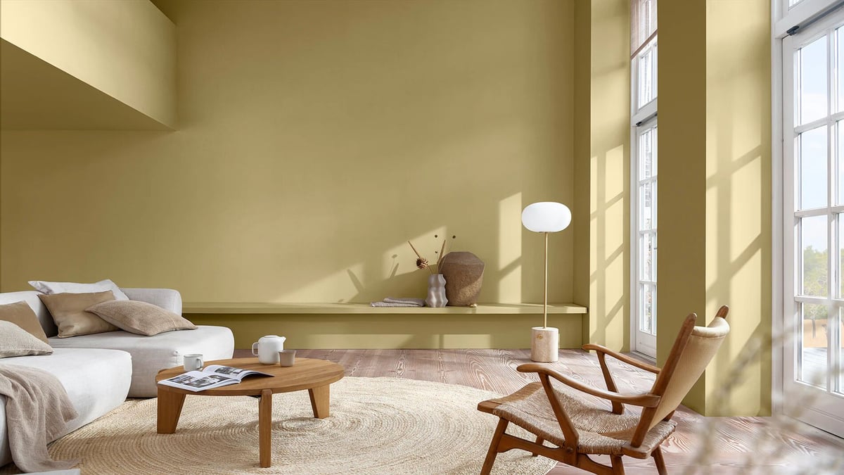 Modern living room with olive-green wall, sofa, low coffee table, and sunlight from large windows
