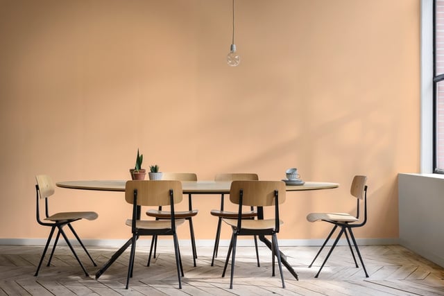 Dining Room interior inspiration image
