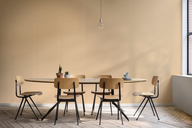 Dining Room interior inspiration image